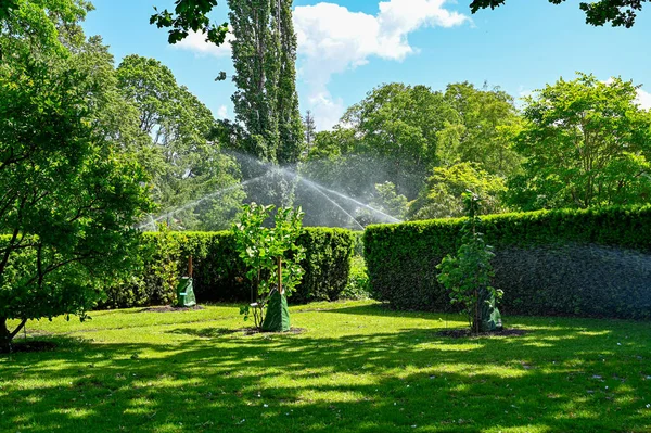 Zavlažovače Vody Veřejné Zahradě Orebro Švédsko Červen 2022 — Stock fotografie