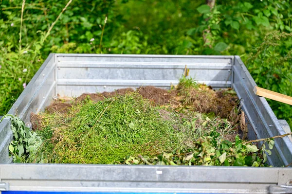 Green Weeds Collected Small Trailer Sweden July 2022 — Stock Photo, Image