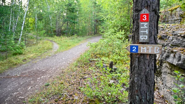 Trail Forest Kumla Sweden July 2022 — Stockfoto