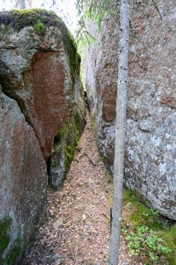 Trail through big rocks in old forest Nora Sweden july 28 2022