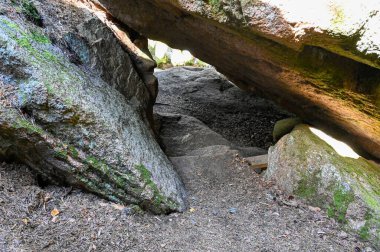 Trail through big rocks in old forest Nora Sweden july 28 2022