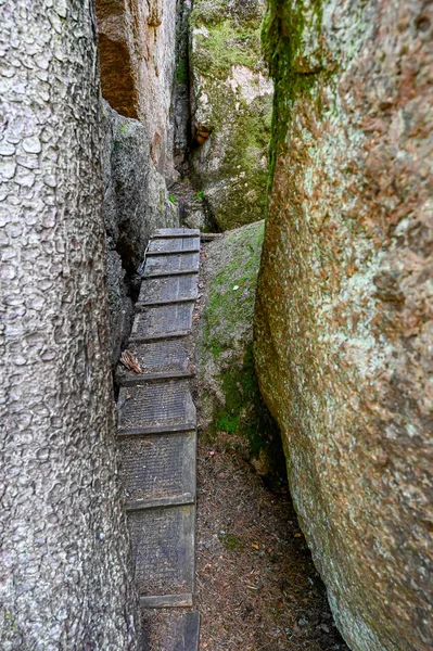 Wooden Steps Trail Big Rocks Narke Sweden July 2022 — Photo