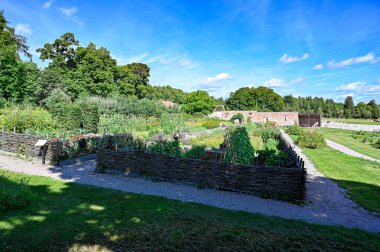 overlooking lots of flowers and vegetables in public garden Karlsund Garden Orebro Sweden august 4 2022