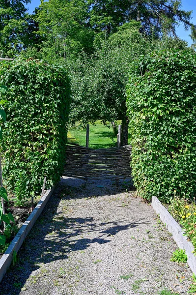 Gravel Path Fence Hedge Public Garden Orebro Sweden August 2022 — Photo