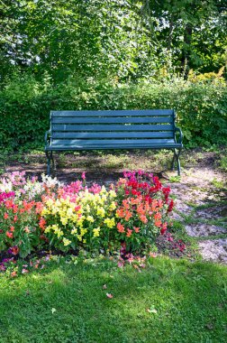 green bench standing in a shaded area in garden Karlsund Garden Orebro Sweden august 4 2022