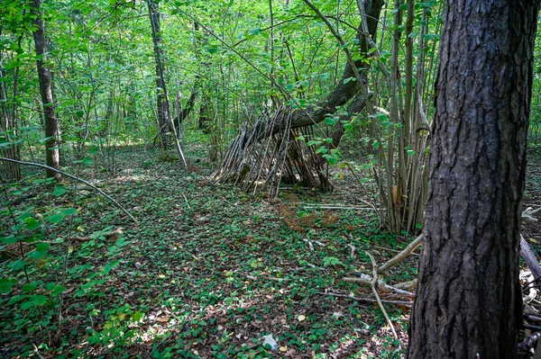 Ormandaki çocuklar için sopalardan yapılmış küçük bir kulübe.
