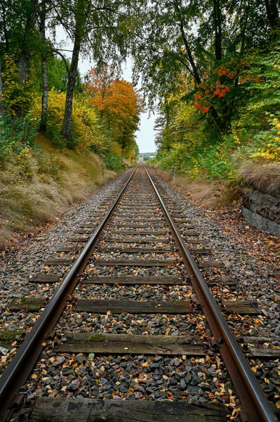 Ferroviária Com Árvores Outono Nas Laterais Kumla Suécia Setembro 2022 — Fotografia de Stock