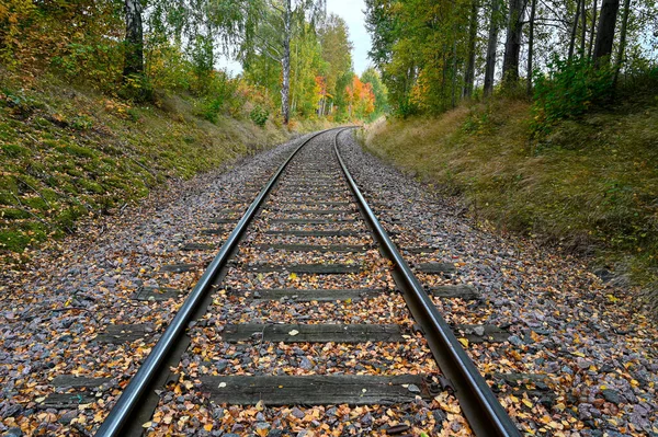 Eisenbahn Mit Herbstbäumen Den Seiten Kumla Schweden September 2022 — Stockfoto