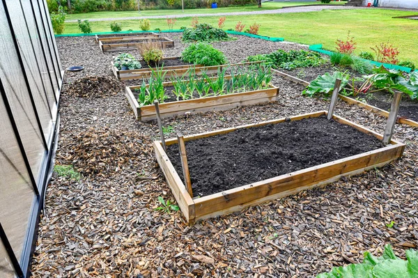 그린하우스의 정원인 스웨덴의 정원에서 상자를 재배하고 2022 — 스톡 사진
