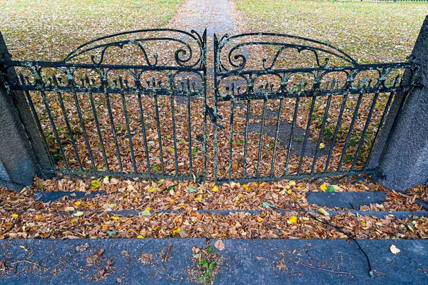 Old Iron Gate Lots Autumn Colored Leaves Kumla Sweden September — Stock Photo, Image