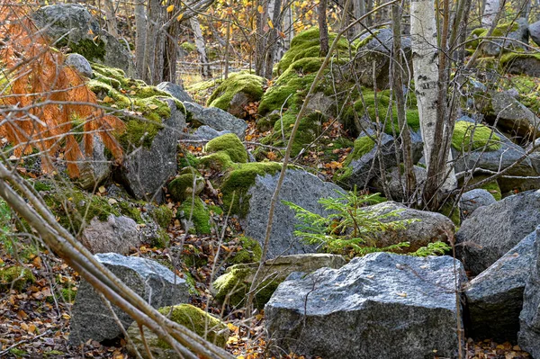 Grosses Roches Grises Vieille Carrière Kumla Suède Octobre 2022 — Photo