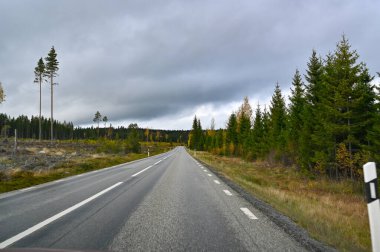 Fotoğraf 15 Ekim 2022 'de İsveç' te sonbahar ormanlarında araba sürerken çekildi.