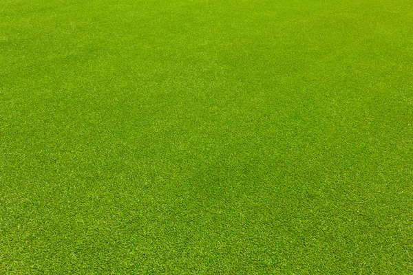 golf, doku için yeşil çim çimen