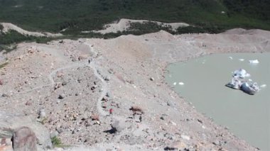 El Chalten, Patagonya, Arjantin yakınlarındaki Laguna Torre 'de yüzen buzdağları.  