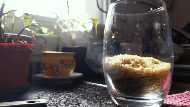 Nahaufnahme Von Reis Der Glasschale Fällt Auflösung — Stockvideo