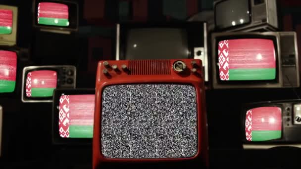 Vitrysslands Och Vintage Televisions Flaggor — Stockvideo