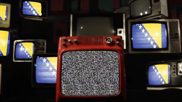 Bosniens Hercegovinas Och Vintage Televisions Flaggor — Stockvideo