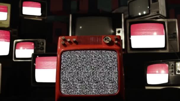 모나코의 플래그와 빈티지 텔레비전 — 비디오