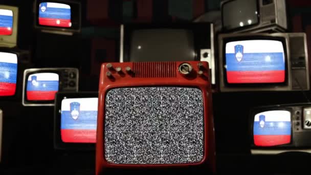 Sloveniens Och Vintage Televisions Flaggor — Stockvideo