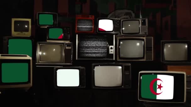 阿尔及利亚国旗和复古电视 放大放大 — 图库视频影像