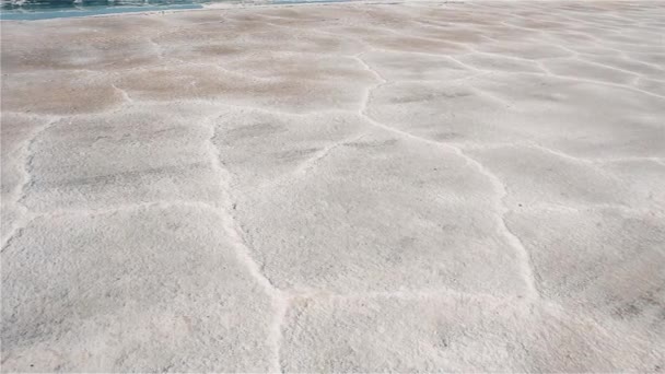 Saline Crust Dried Salt Ground Salinas Grandes Salt Flat Salta — Stock Video
