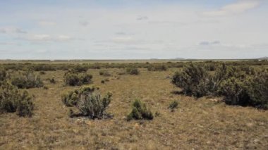 Rio Gallegos yakınlarındaki Patagonya Platosu, Santa Cruz bölgesi, Arjantin. 