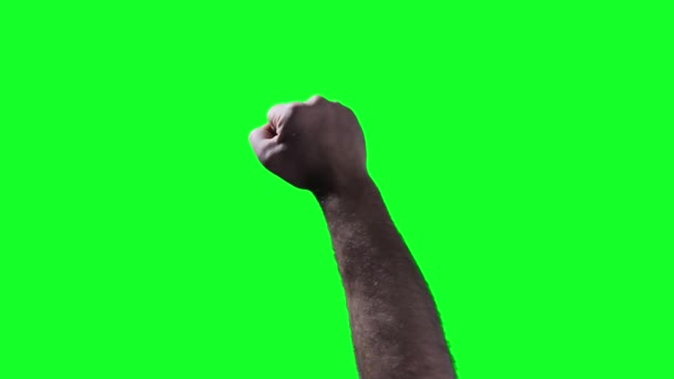 Raised Fist Isolated Green Screen Close You Can Replace Green — Stock Video