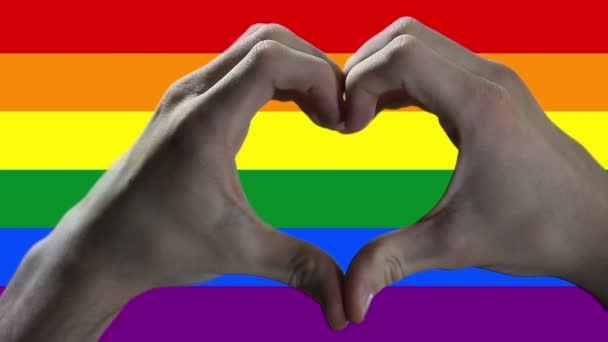 Hands Showing Heart Sign Gay Pride Flag — Stock Video