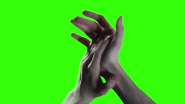 Uomo Che Applaude Applausi Uomo Che Applaude Sullo Schermo Verde — Video Stock