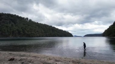 Nahuel Huapi Ulusal Parkı, Patagonya, Arjantin, Güney Amerika 'daki Dağ Gölü üzerinde uçmak. 4K Çözünürlüğü.
