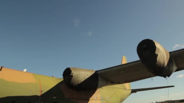 Argentinska Flygvapnet Lockheed 100 Hercules 130B Militära Transportflygplan Visas National — Stockvideo