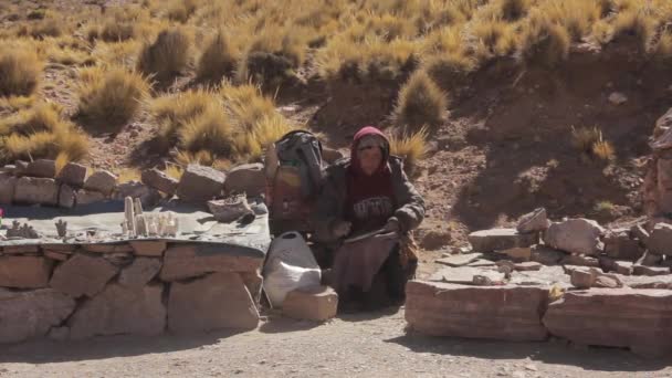 アンデス山脈の国道52号線脇で工芸品を売る女7月アルゼンチン — ストック動画