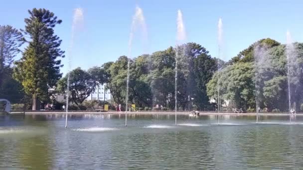 Garbage Collector Boat Cleaning Lake Surface Parque Centenario Public Park — Stok video