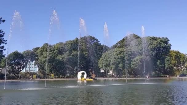 Garbage Collector Boat Cleaning Lake Surface Parque Centenario Public Park — Video Stock