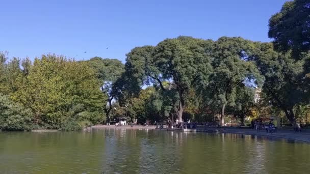Flock Birds Parque Centenario Public Park Caballito District Buenos Aires — Video Stock