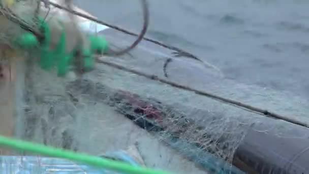 Pescador Macho Barco Con Red Pesca Sus Manos Enguantadas Cerca — Vídeo de stock