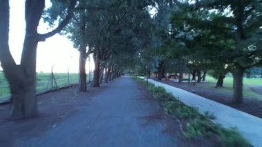 Arjantin 'in Buenos Aires eyaletinin kırsal kesiminde insansız hava aracı görüntüsü. 4K Çözünürlüğü.