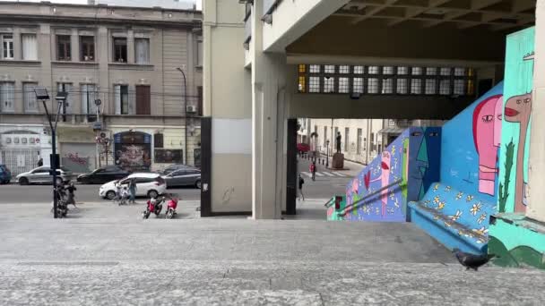 Una Paloma Caminando Por Escalinatas Edificio Buenos Aires Argentina Resolución — Vídeos de Stock