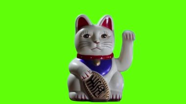 Şanslı Kedi Yeşil Arkaplan 'dan üstün. Yeşil ekranı istediğin görüntüyle ya da resimle değiştirebilirsin. After Effects 'da tuşlama efektiyle yapabilirsiniz. Kapat.. 