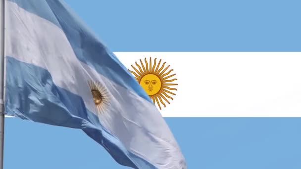 Argentinska Flaggor Argentinska Flaggor Argentinska Flaggor — Stockvideo