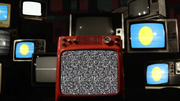 Palaus Och Vintage Televisions Flagga Närbild — Stockvideo