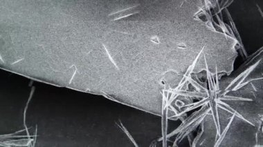 Tarama Elektron Mikroskobu (SEM) ile büyütülmüş görüntü alındı. 4K Çözünürlüğü.