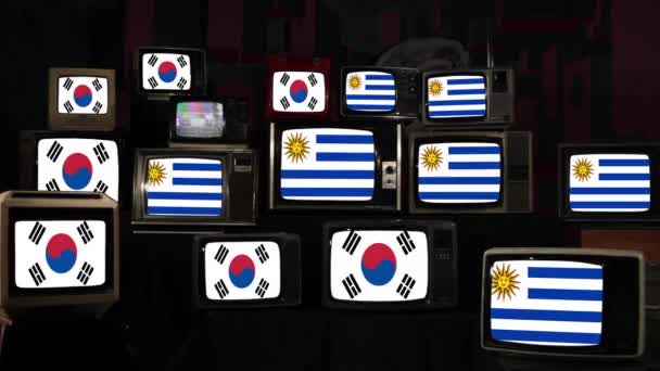 Bandiere Uruguay Corea Del Sud Televisori Vintage Risoluzione — Video Stock