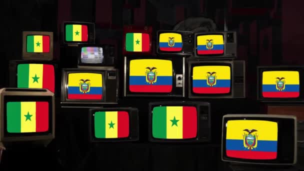 Flaggen Von Ecuador Und Senegal Auf Alten Fernsehern Auflösung — Stockvideo