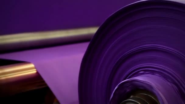 Roll Purple Paper Reel Rolling Paper Machine Pulp Paper Mill — Stock Video