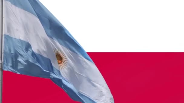 Bandera Argentina Contra Bandera Polonia — Vídeo de stock
