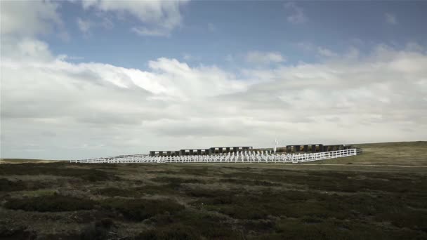 Общий Вид Аргентинского Военного Кладбища Дарвине Восточный Фолкленд Фолклендские Острова — стоковое видео