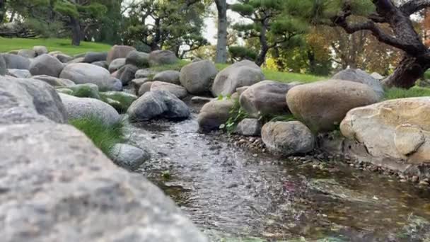 Small Stream Buenos Aires Japanese Garden Jardin Japones Public Garden — Wideo stockowe