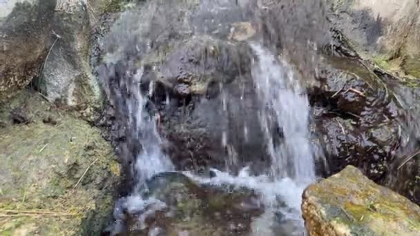 Flowing Water Small Cascade Buenos Aires Japanese Garden Jardin Japones — Stock Video