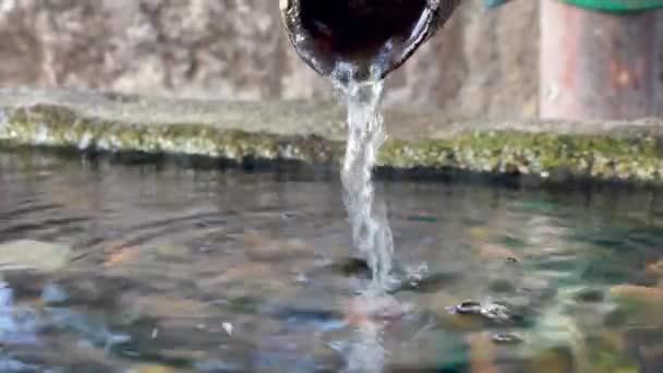 Borda Tubulação Metal Esvaziando Água Uma Lagoa Jardim Japonês Buenos — Vídeo de Stock